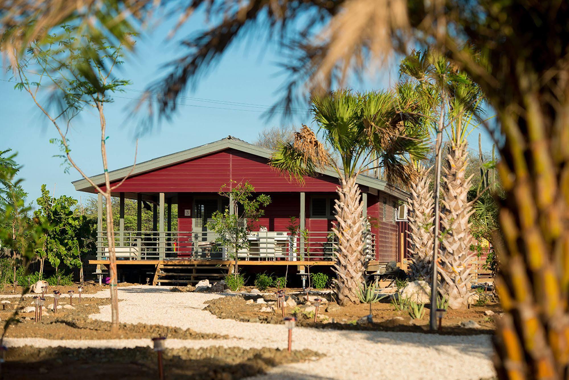 Red Palm Village Kralendijk  Exterior foto