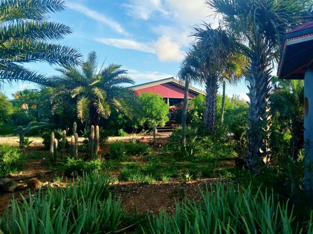 Red Palm Village Kralendijk  Exterior foto