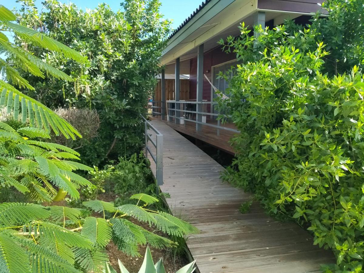 Red Palm Village Kralendijk  Exterior foto