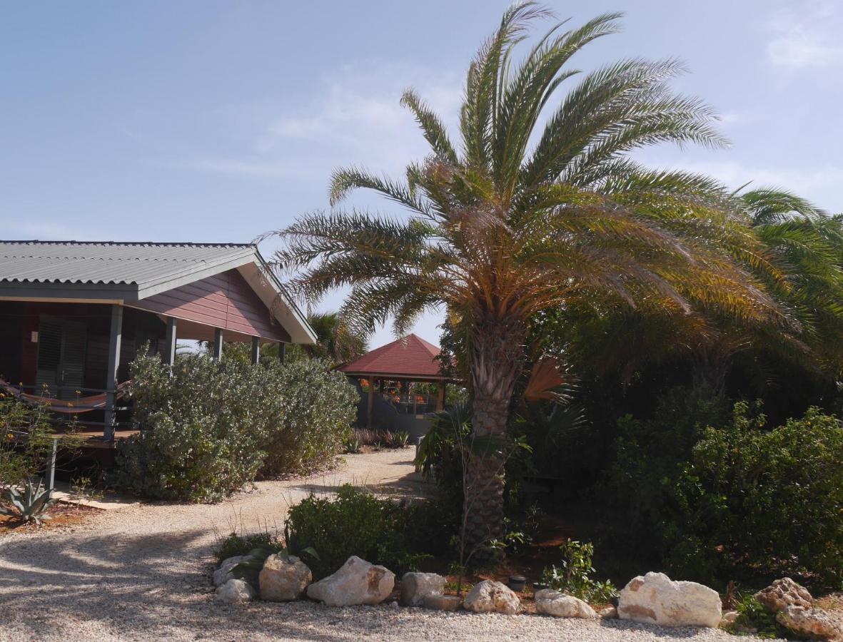 Red Palm Village Kralendijk  Exterior foto