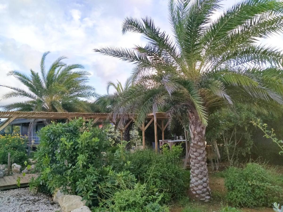 Red Palm Village Kralendijk  Exterior foto